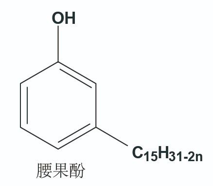 未标题-1-02.jpg